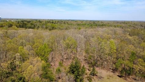 0 Mill Avenue Hohenwald TN 38462