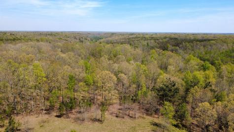 0 Mill Avenue Hohenwald TN 38462