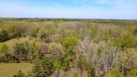 0 Mill Avenue Hohenwald TN 38462