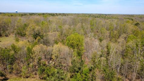 0 Mill Avenue Hohenwald TN 38462