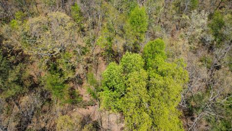 0 Mill Avenue Hohenwald TN 38462