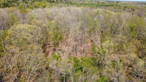 0 Mill Avenue Hohenwald TN 38462