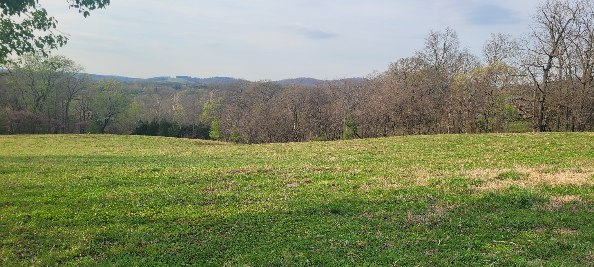 1 Haley Road College Grove TN 37046
