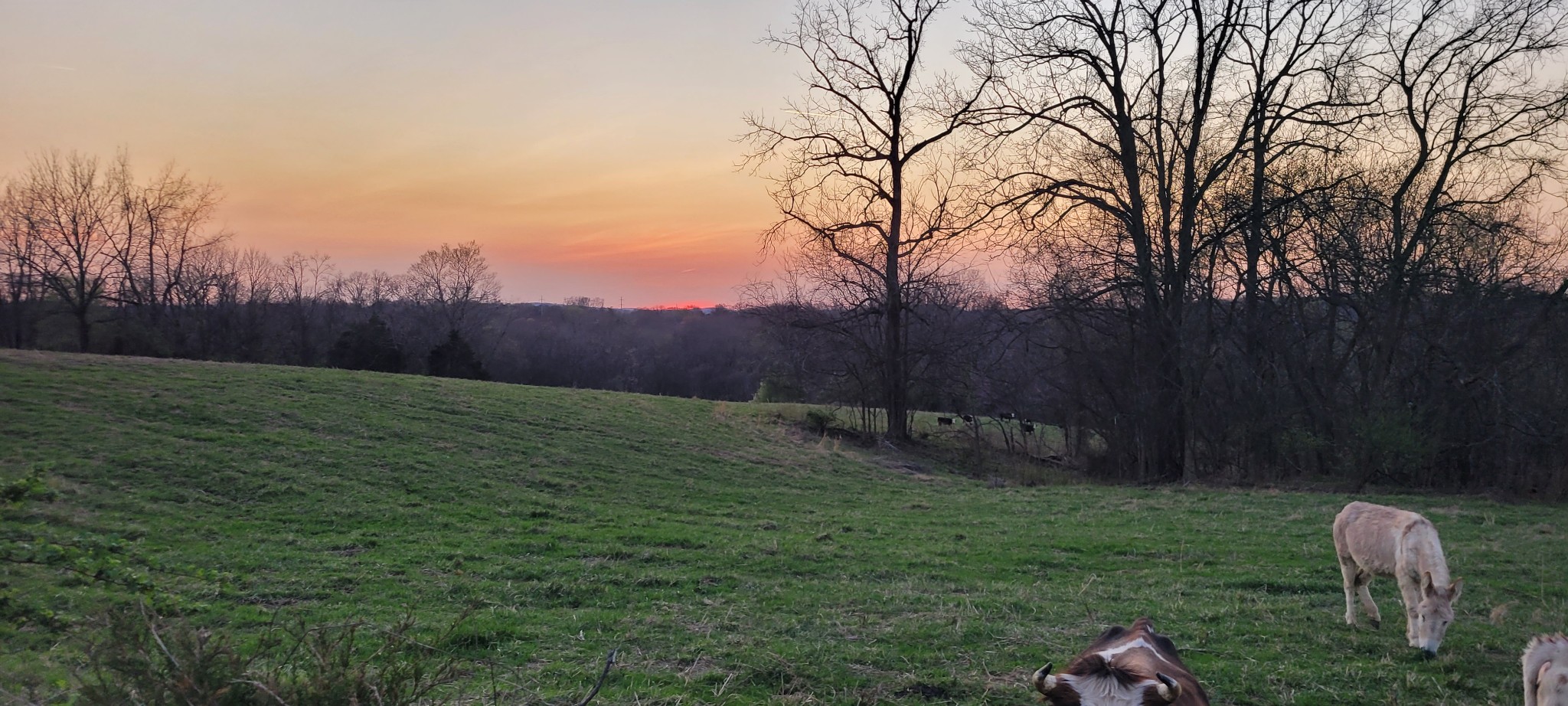 1 Haley Road College Grove TN 37046