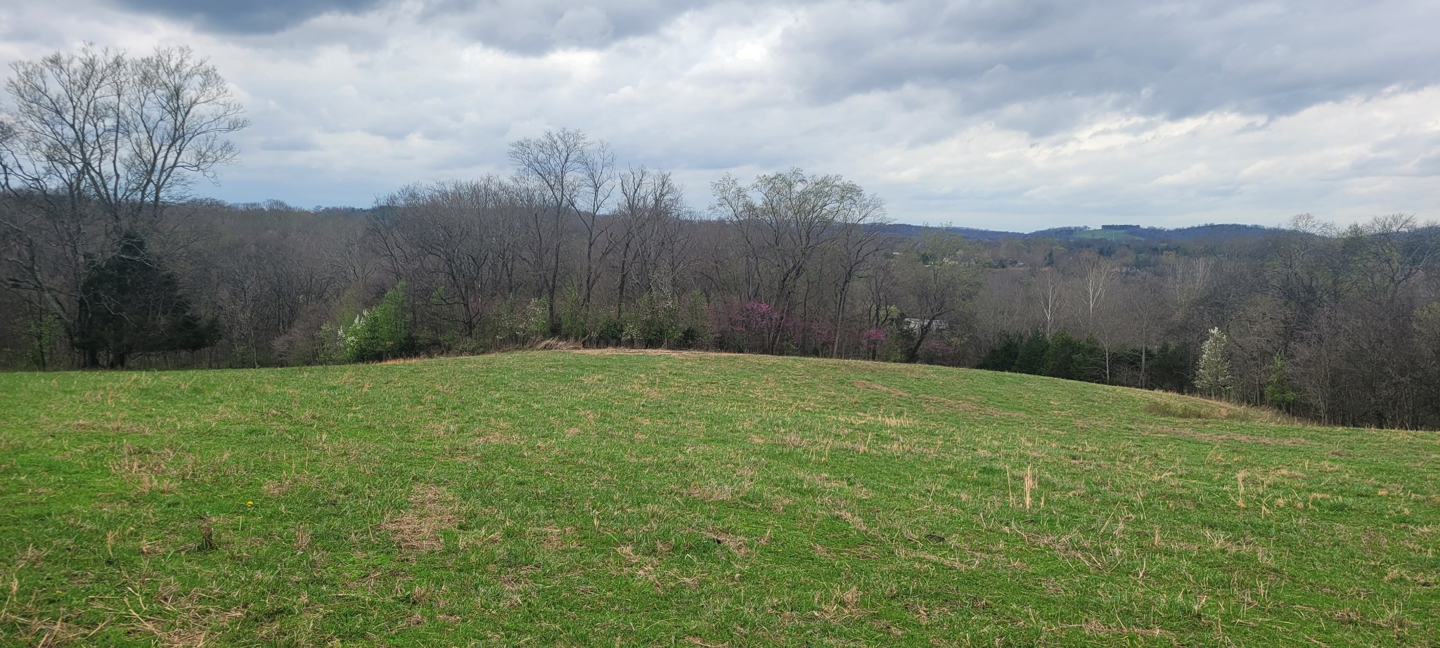 1 Haley Road College Grove TN 37046