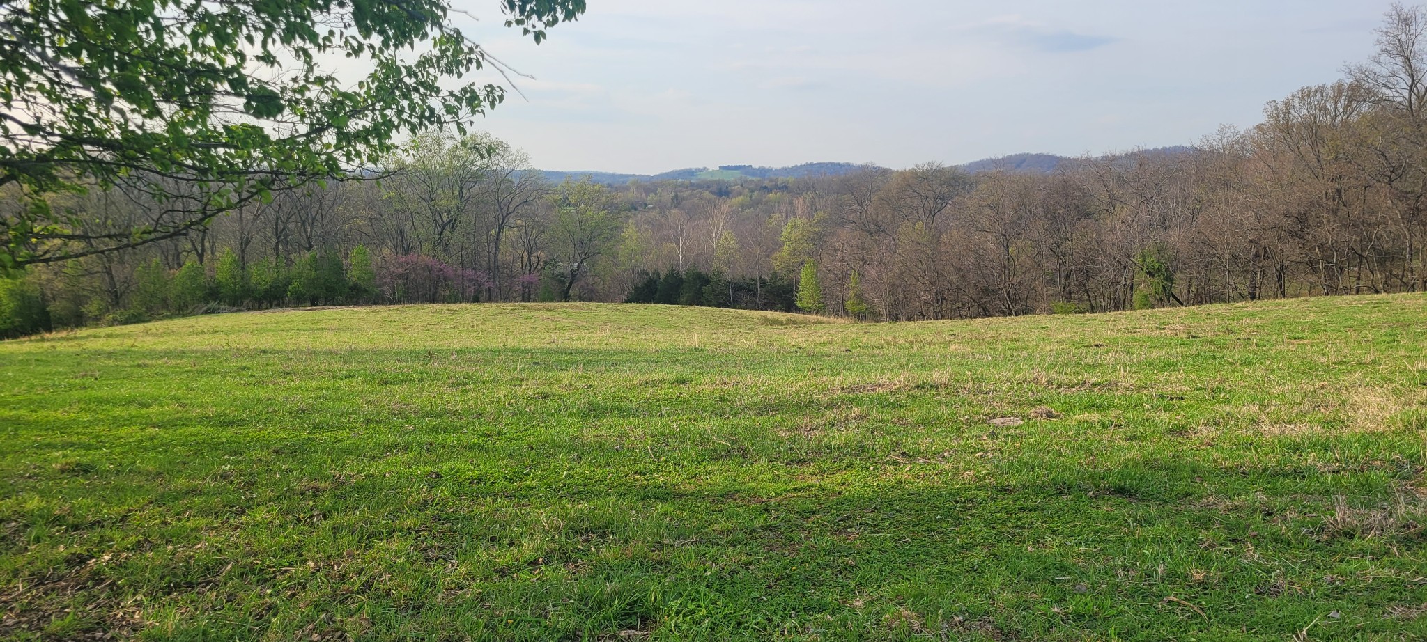 1 Haley Road College Grove TN 37046