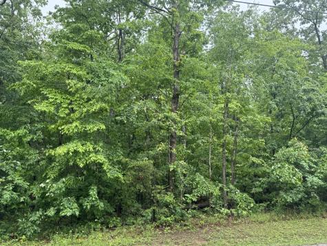 0 18th Avenue, S Gruetli Laager TN 37339