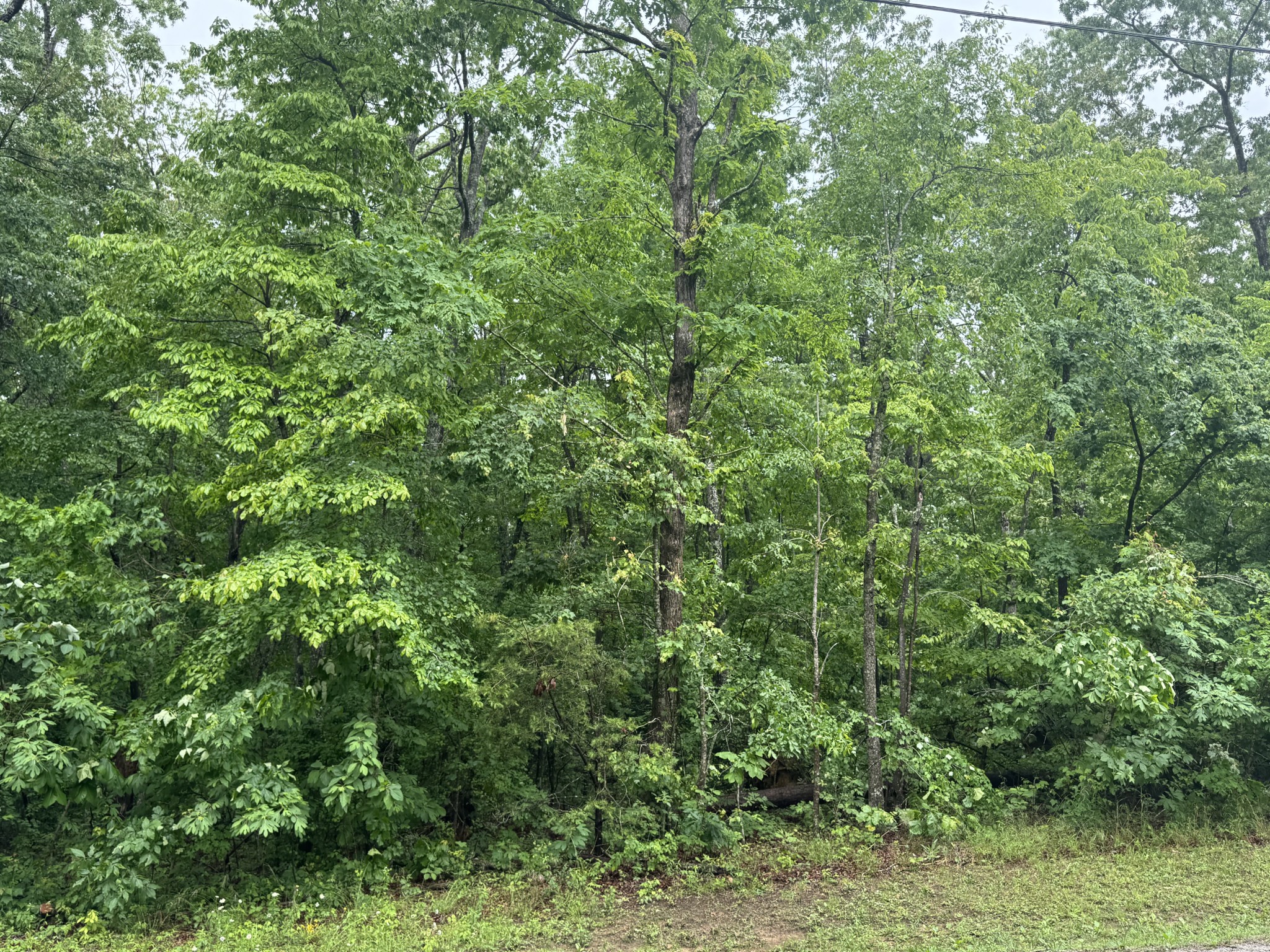 0 18th Avenue, S Gruetli Laager TN 37339