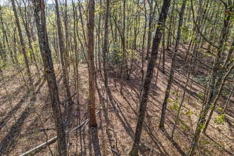 1 Seagroves Road Tracy City TN 37387