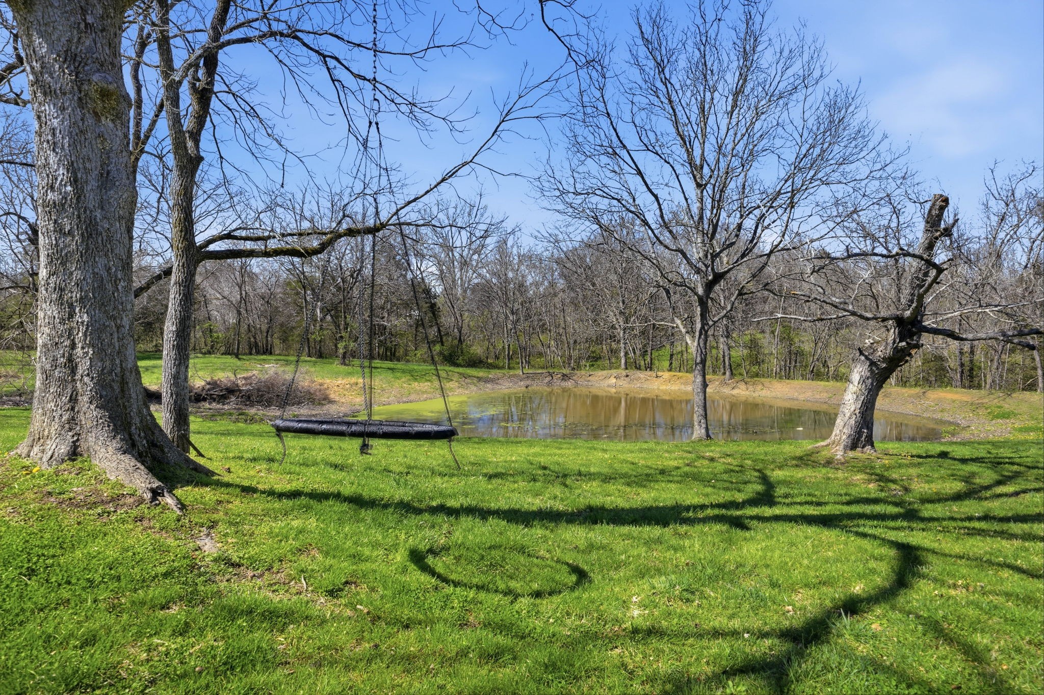 126 Laurelwood Drive Shelbyville TN 37160