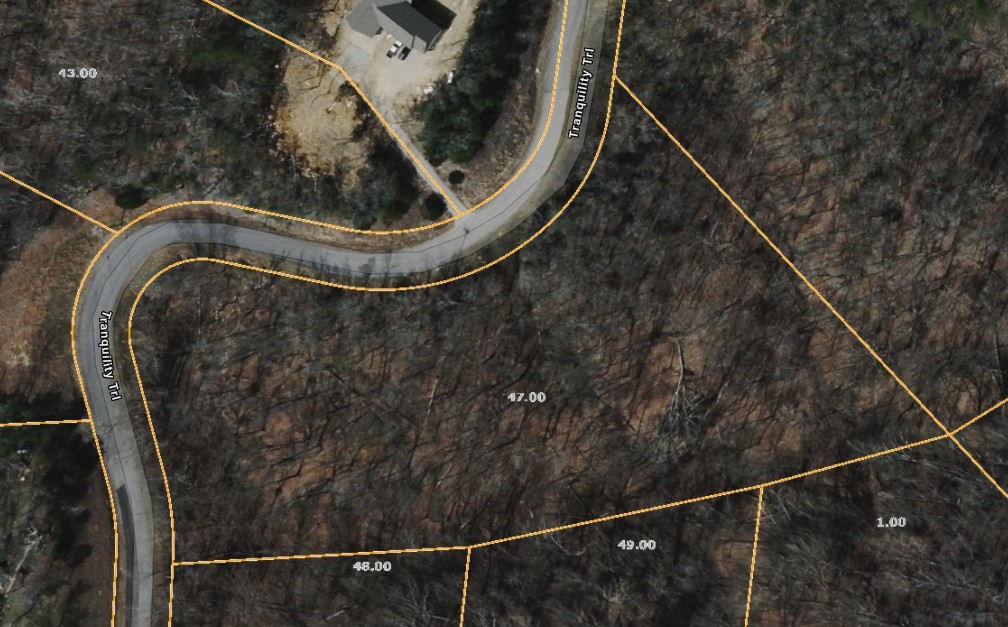 47 Tranquility Trail Dandridge TN 37725
