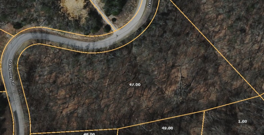 47 Tranquility Trail Dandridge TN 37725