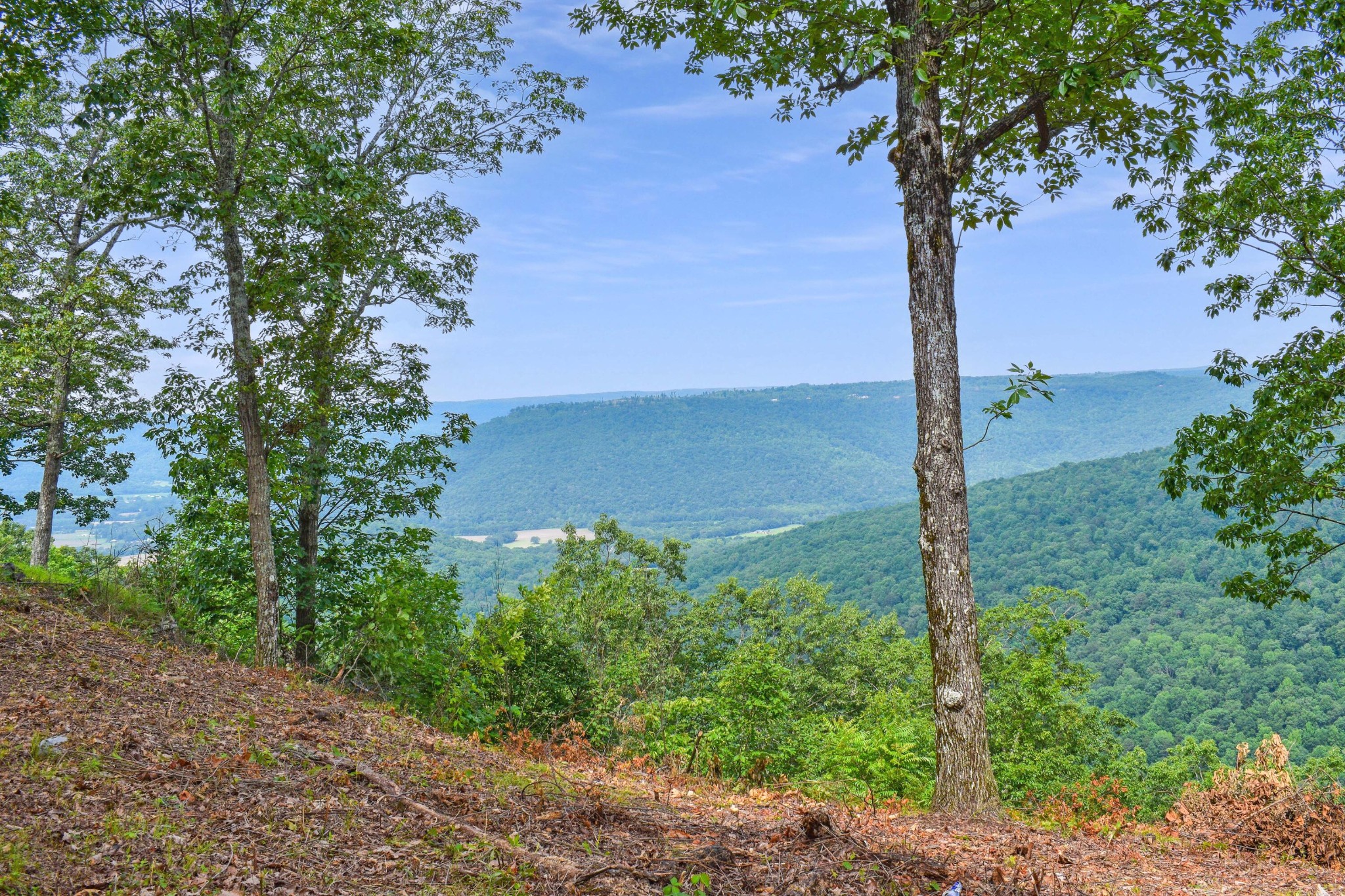 615 Cumberland Circle Jasper TN 37347