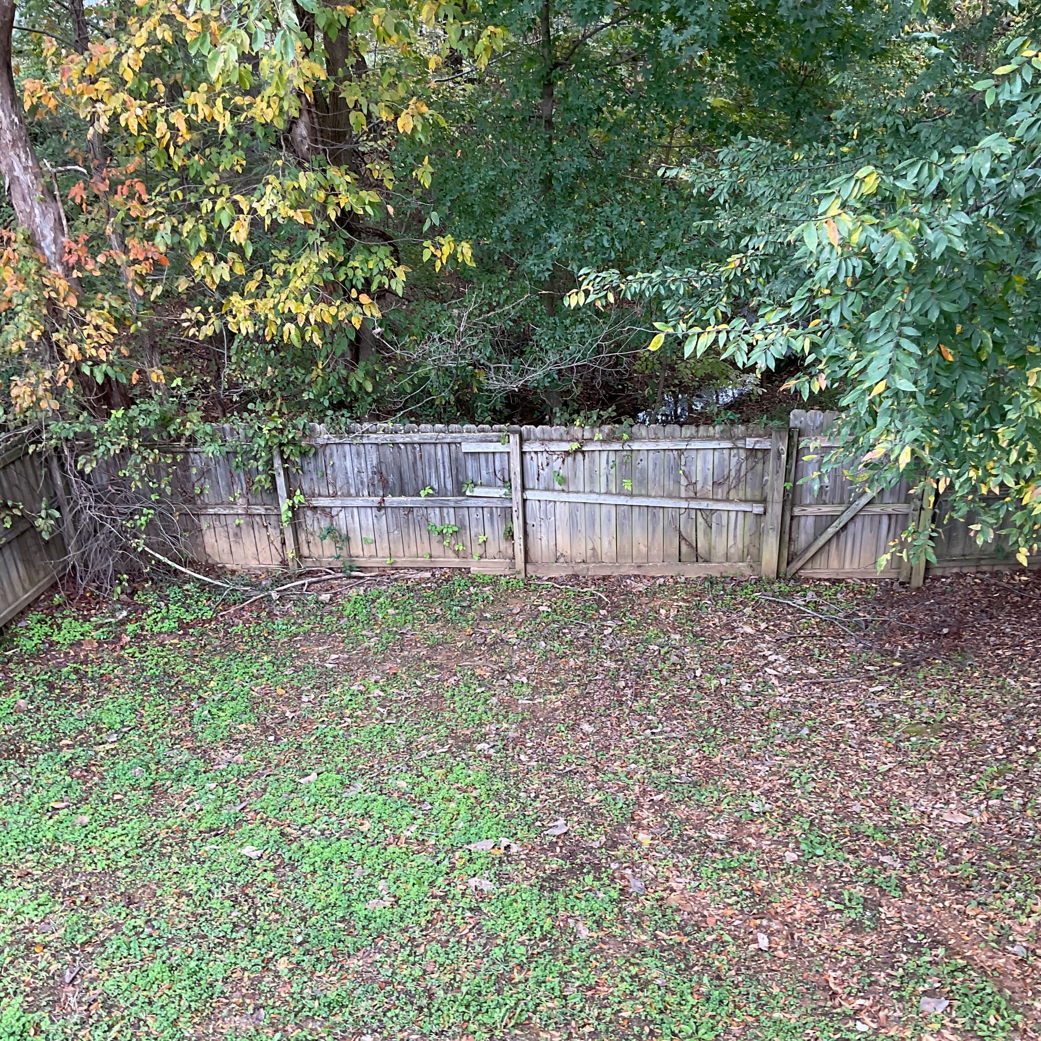 1640 Broad Circle Clarksville TN 37042