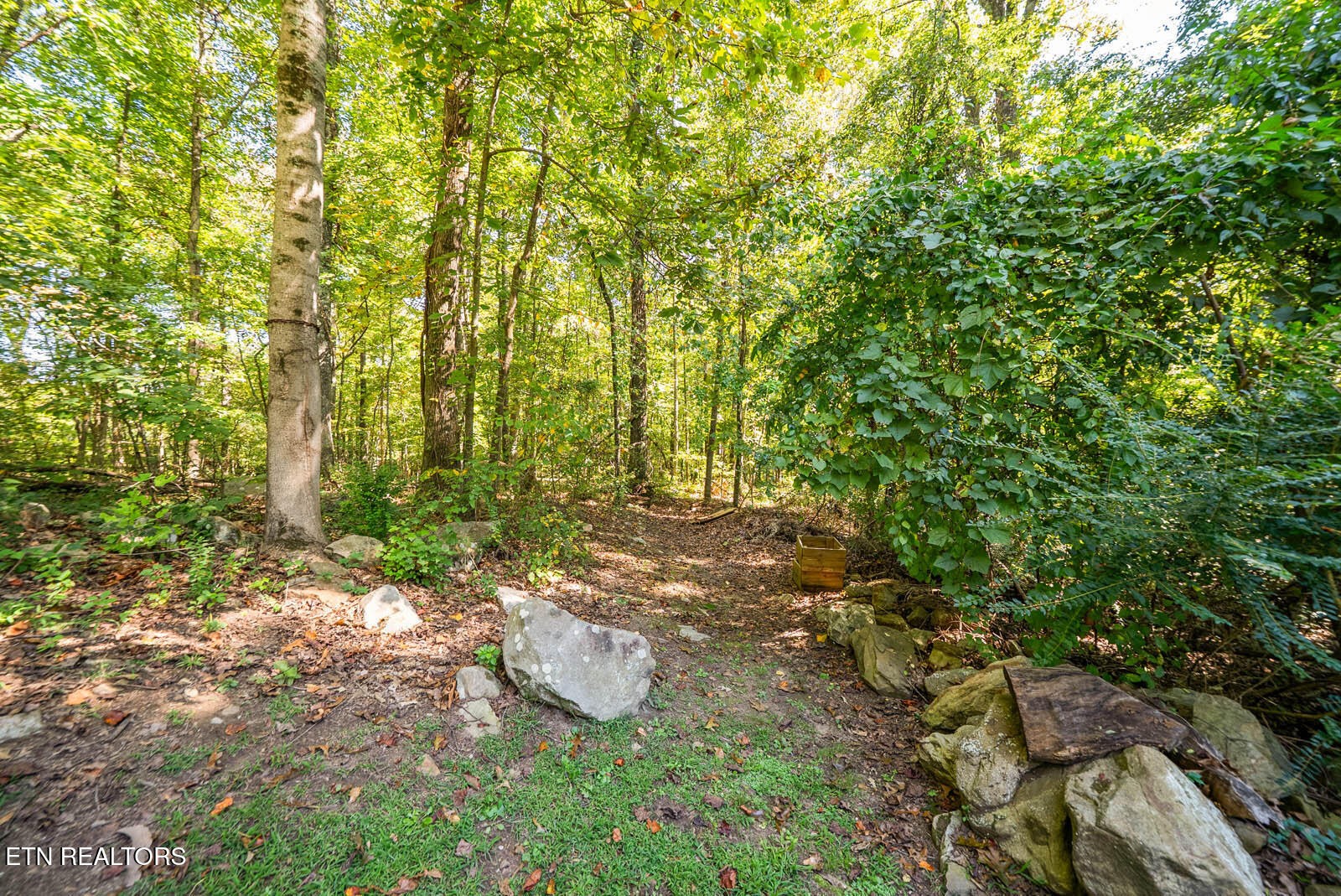 131 Longmire Circle Rockwood TN 37854
