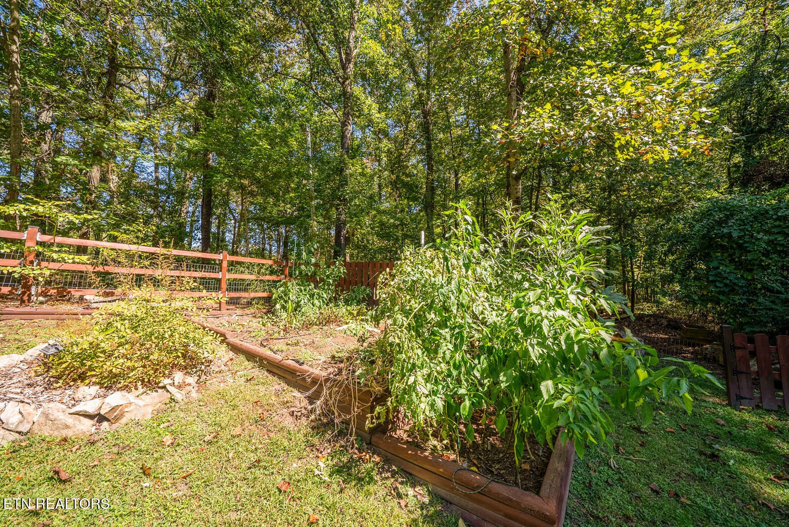 131 Longmire Circle Rockwood TN 37854