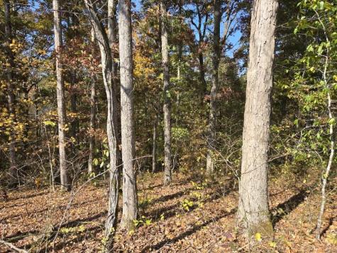 0 Sugar Camp Road Bon Aqua TN 37025