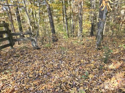 0 Sugar Camp Road Bon Aqua TN 37025