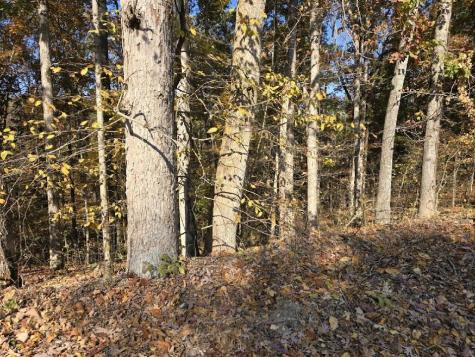 0 Sugar Camp Road Bon Aqua TN 37025