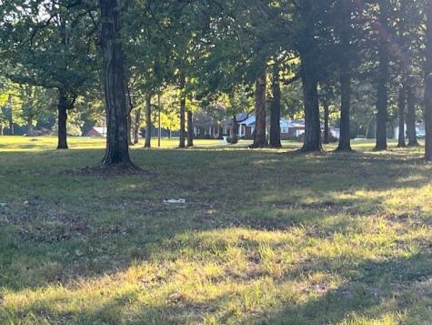 1386 Chisholm Road Cypress Inn TN 38452
