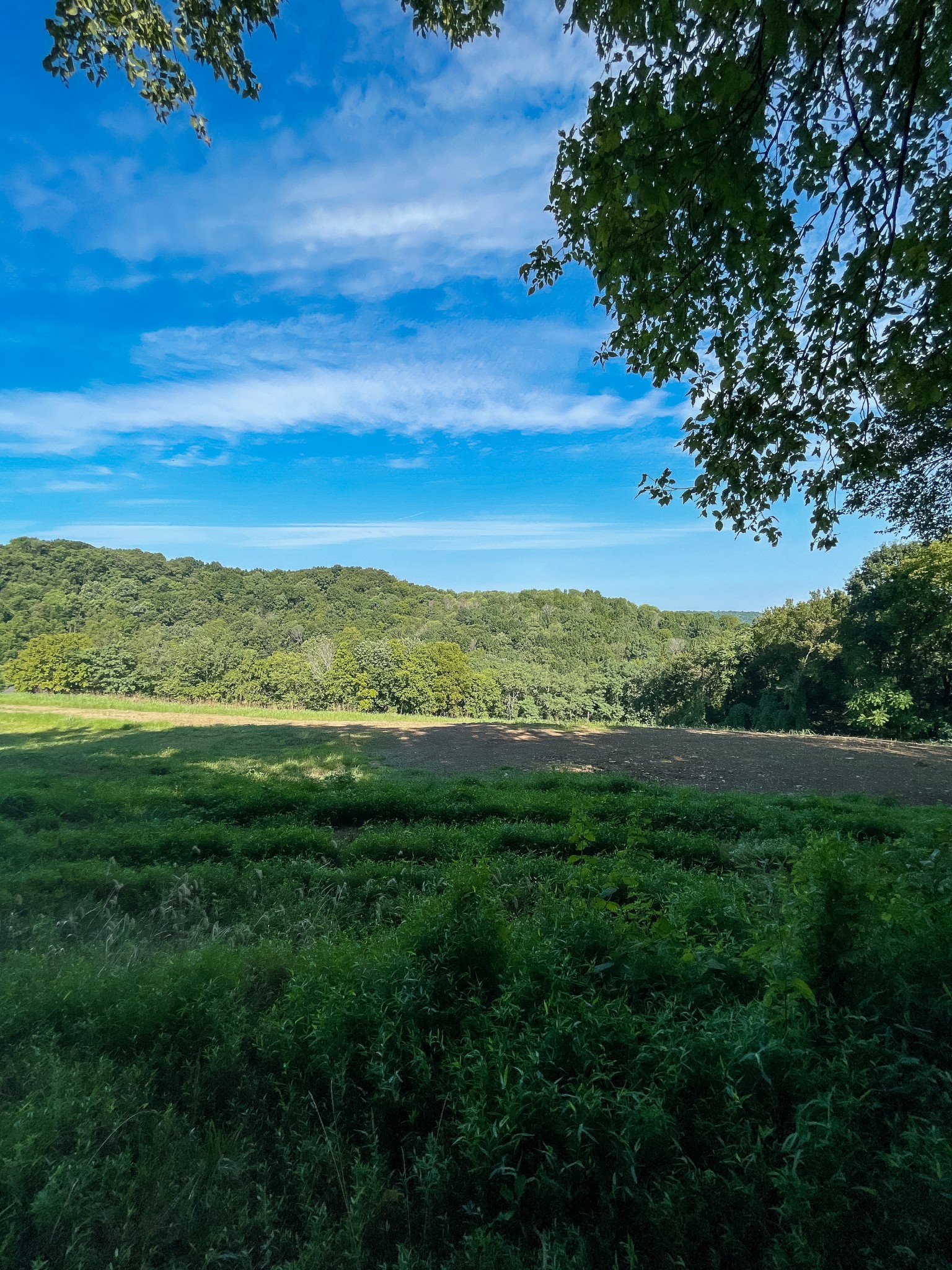 2055 Mooresville Pike Tract 2 Culleoka TN 38451