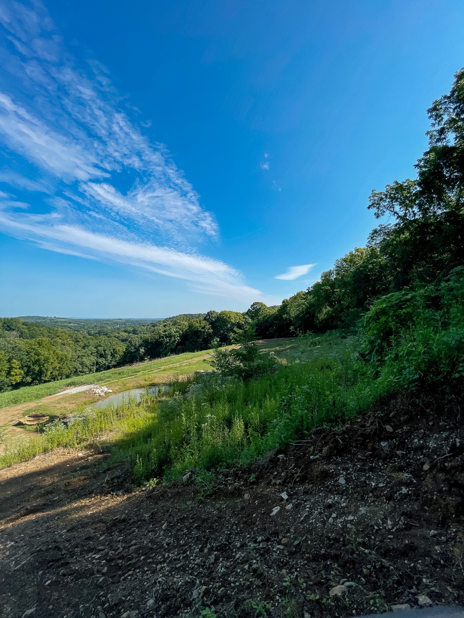 2055 Mooresville Pike Tract 2 Culleoka TN 38451