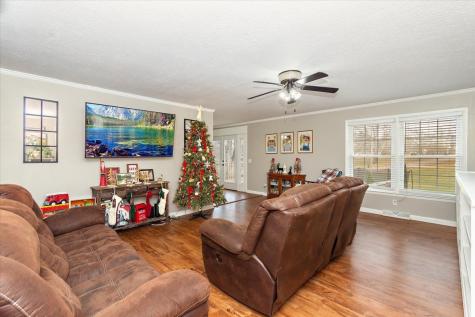 110 Harry Drive Loretto TN 38469