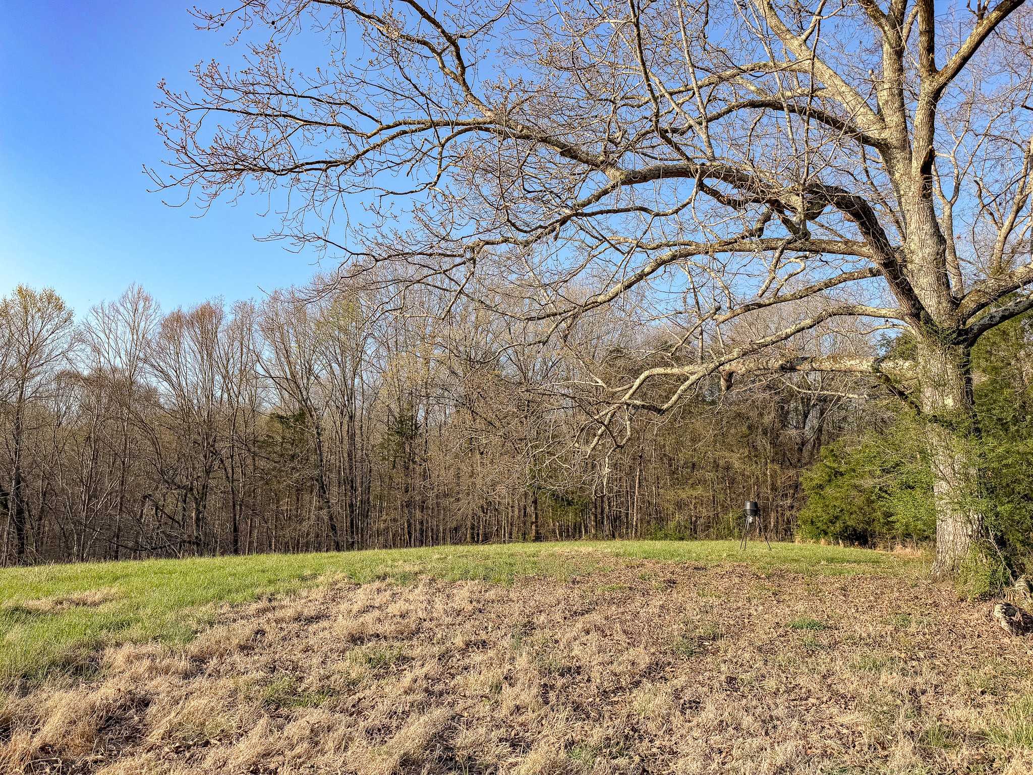 620 Piney Road Dickson TN 37055