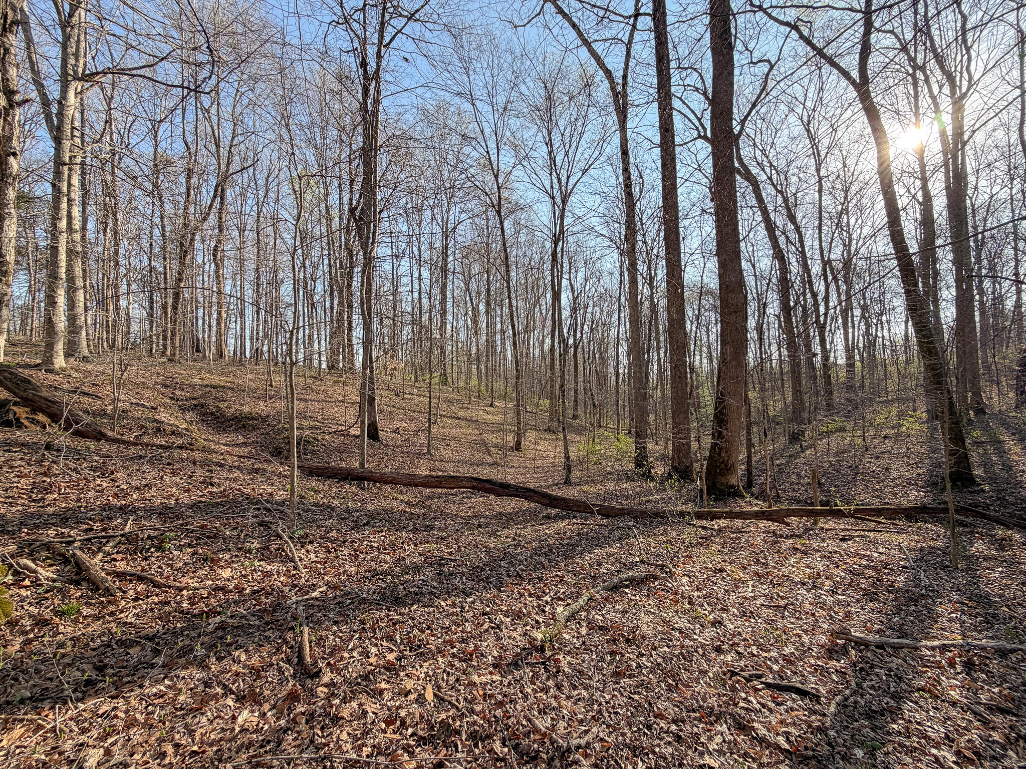 620 Piney Road Dickson TN 37055