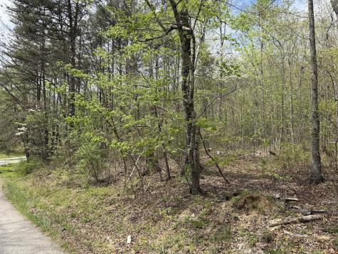 0 Myers Hill Road Tracy City TN 37387