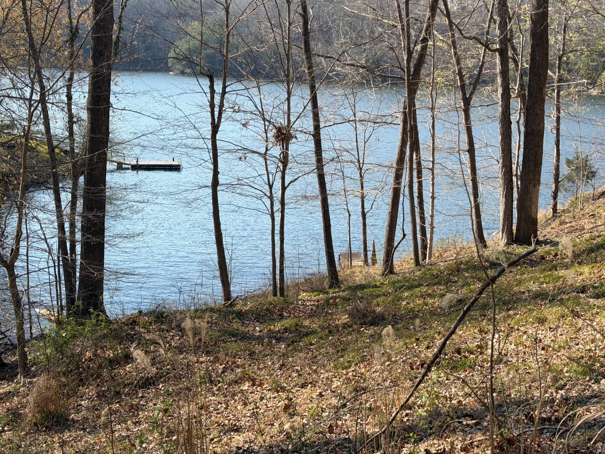 0 Lakeview Terrace Lewisburg KY 42256