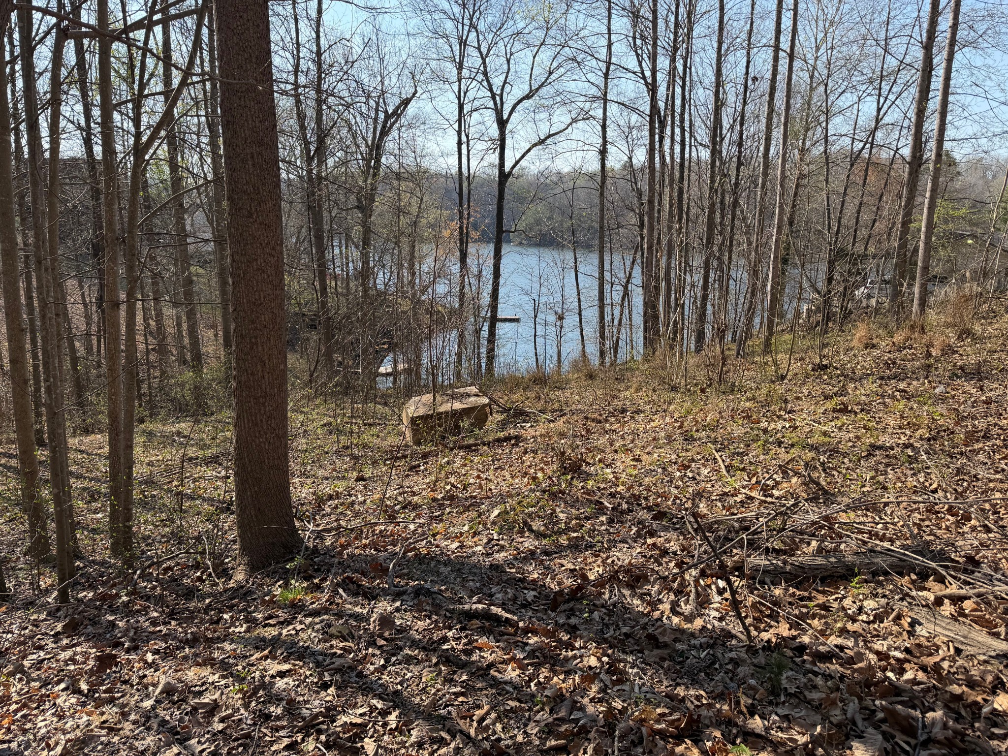 0 Lakeview Terrace Lewisburg KY 42256