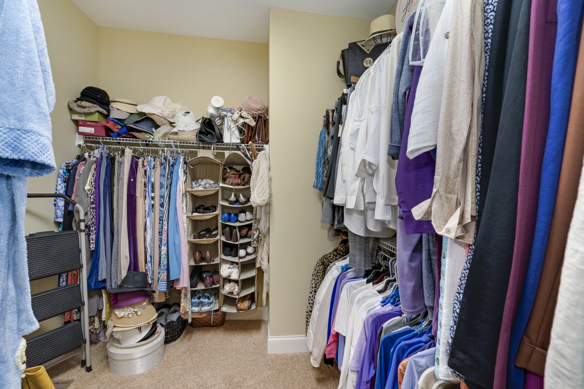 523 Dabney Drive Franklin TN 37064