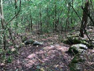 3076 Carters Creek Park Franklin TN 37064