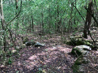 3076 Carters Creek Park Franklin TN 37064