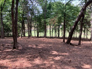3076 Carters Creek Park Franklin TN 37064