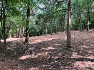 3076 Carters Creek Park Franklin TN 37064