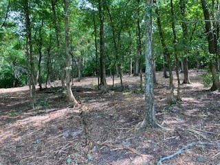 3076 Carters Creek Park Franklin TN 37064