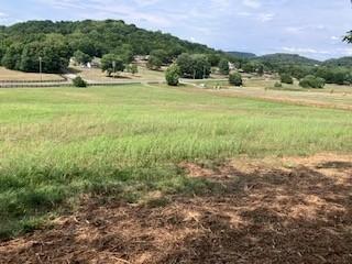 3076 Carters Creek Park Franklin TN 37064