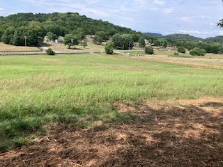 3076 Carters Creek Park Franklin TN 37064