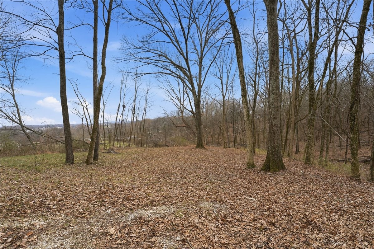 4327 Long Lane Franklin TN 37064
