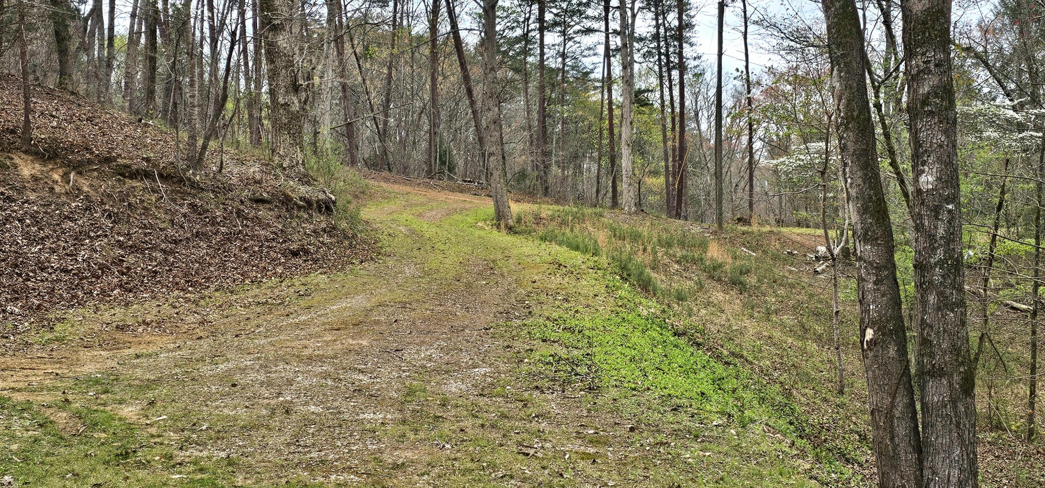 6870 Tennessee 360 Tellico Plains TN 37385