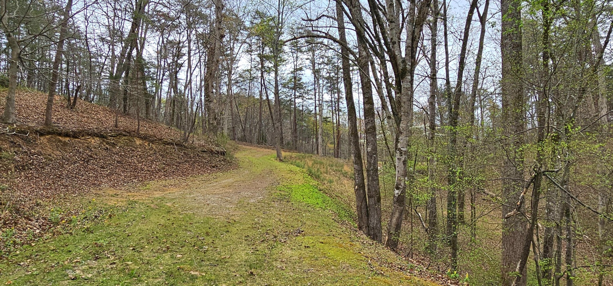 6870 Tennessee 360 Tellico Plains TN 37385