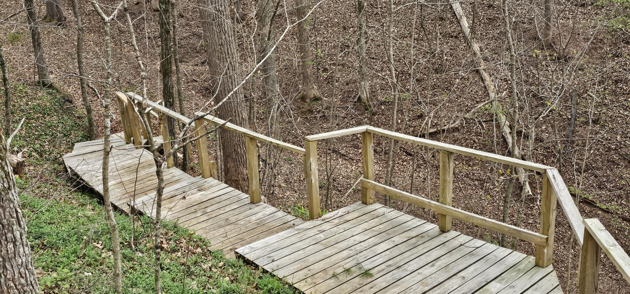 6870 Tennessee 360 Tellico Plains TN 37385
