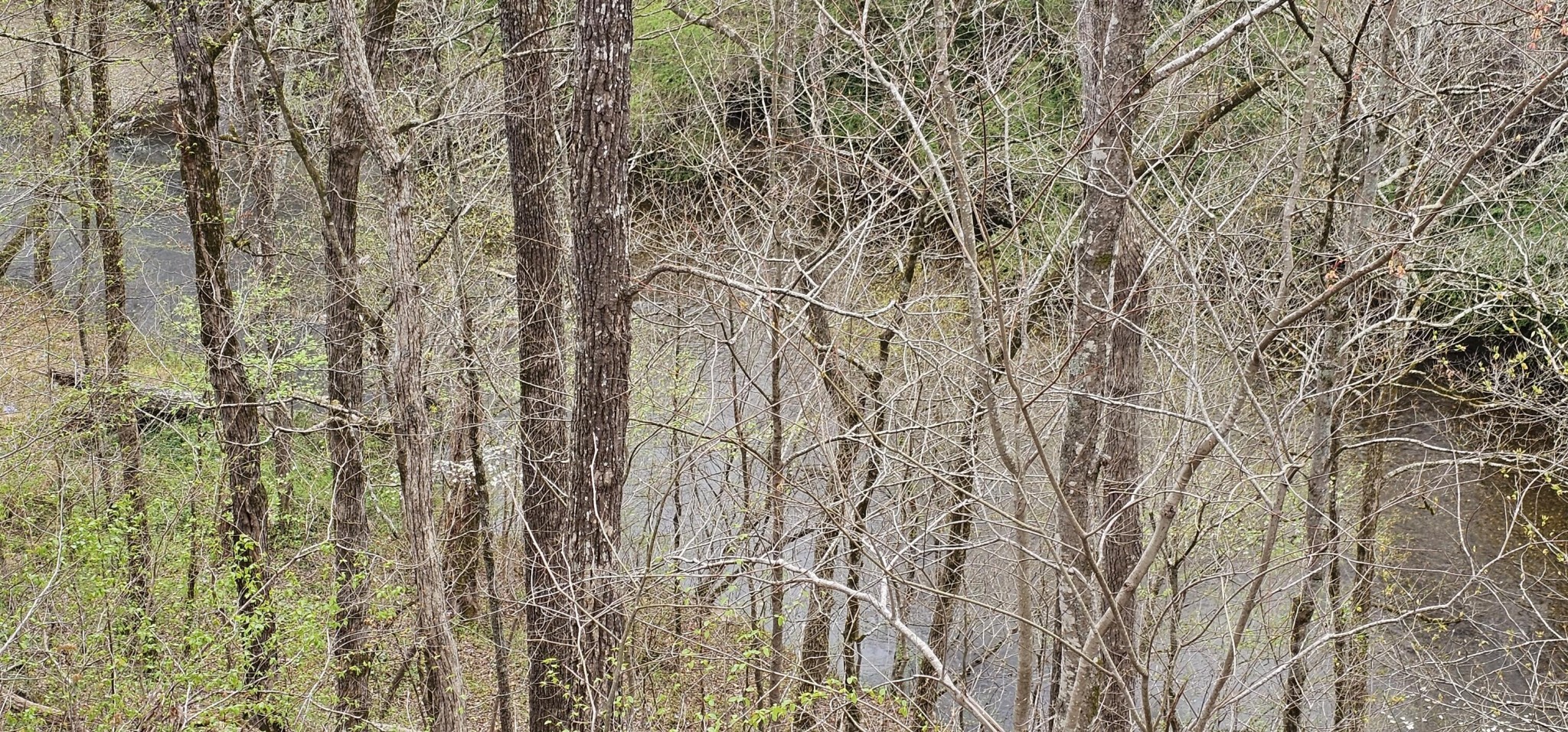 6870 Tennessee 360 Tellico Plains TN 37385