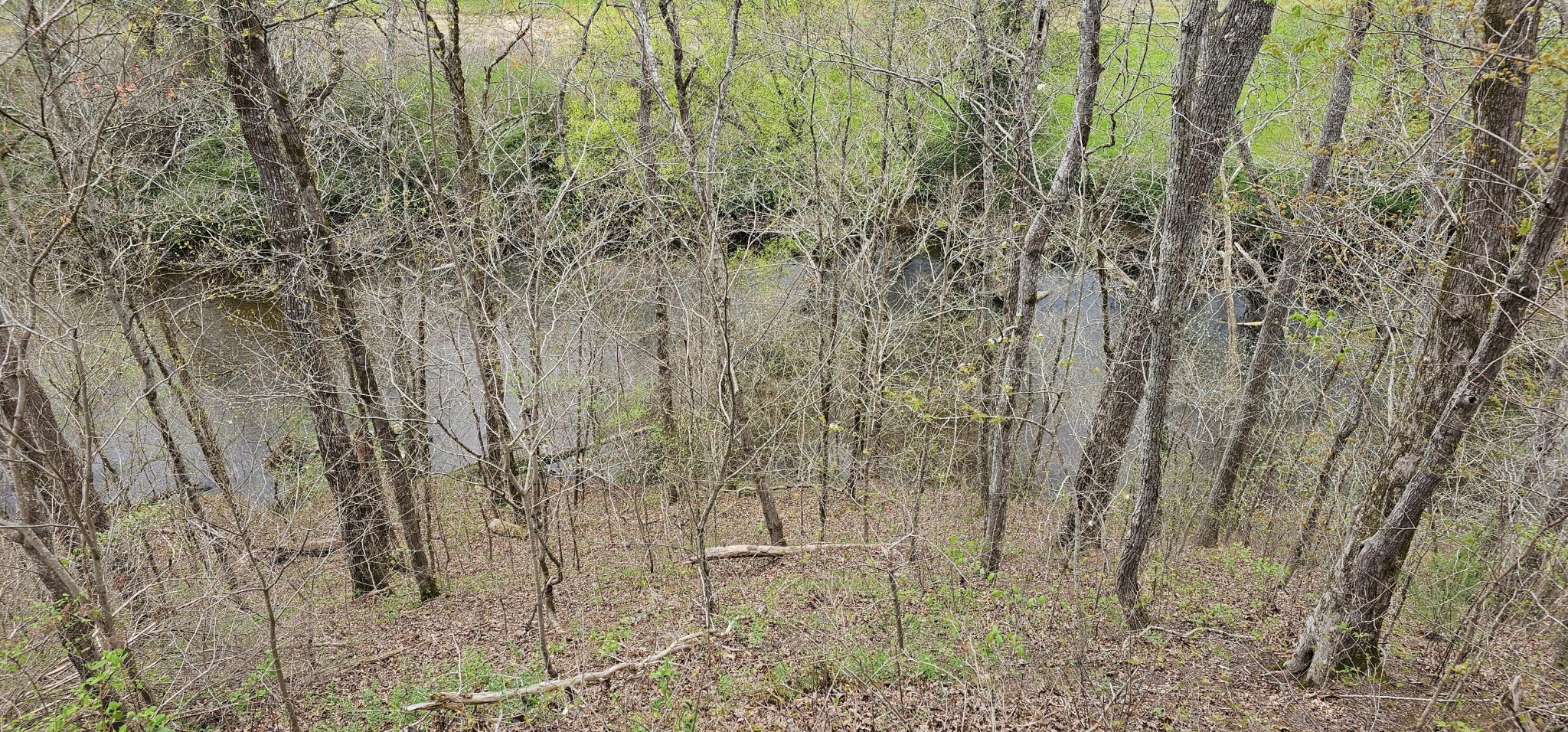 6870 Tennessee 360 Tellico Plains TN 37385