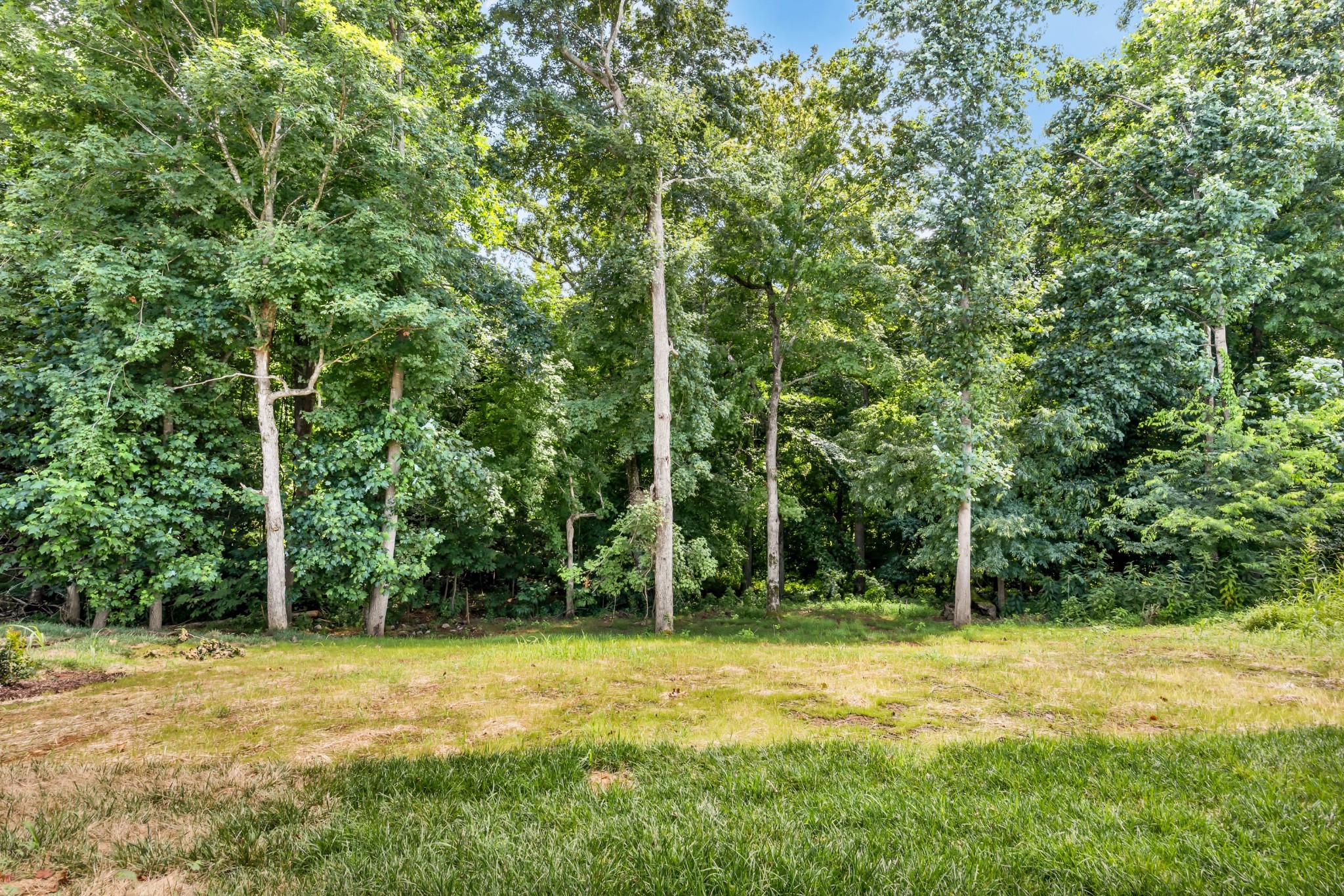 578 Pongracz Way Clarksville TN 37042