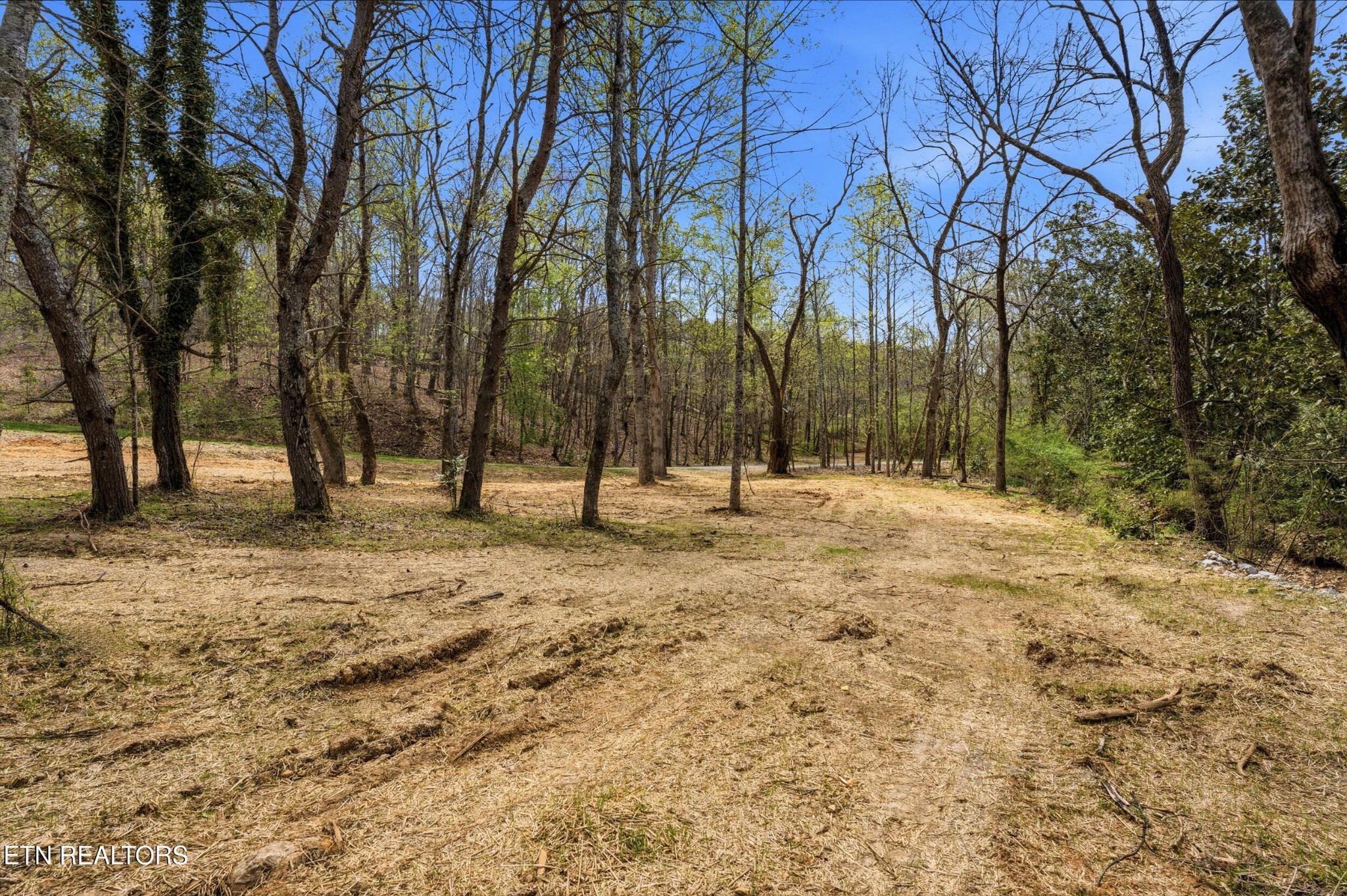 1750 Lakeland Drive Aka 1 Headricks Co Lenoir City TN 37772