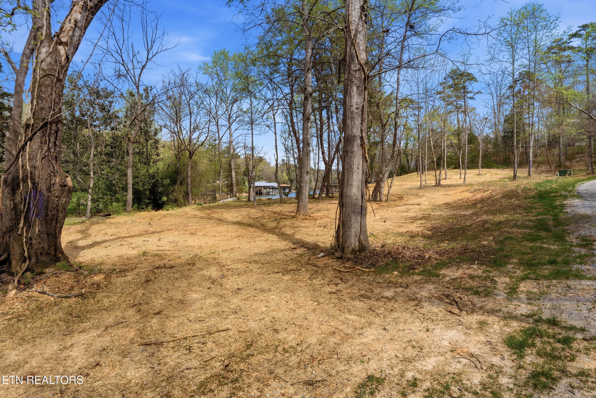 1750 Lakeland Drive Aka 1 Headricks Co Lenoir City TN 37772