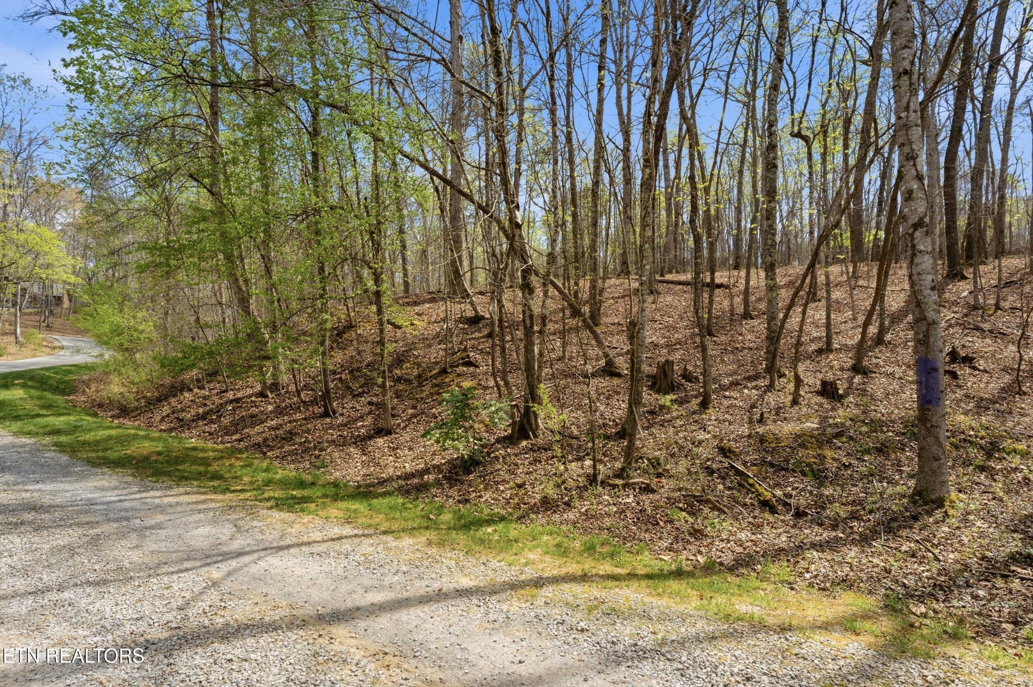 1750 Lakeland Drive Aka 1 Headricks Co Lenoir City TN 37772